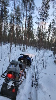 Ensimmäiset urien pohjaukset tehty maanantaina 18.12., maastossa kohtuullisen hyvin lunta ja lähiaikoina tulee lisää. Kelkalla seuraavan kerran päästään ajamaan uuden vuoden jälkeen.